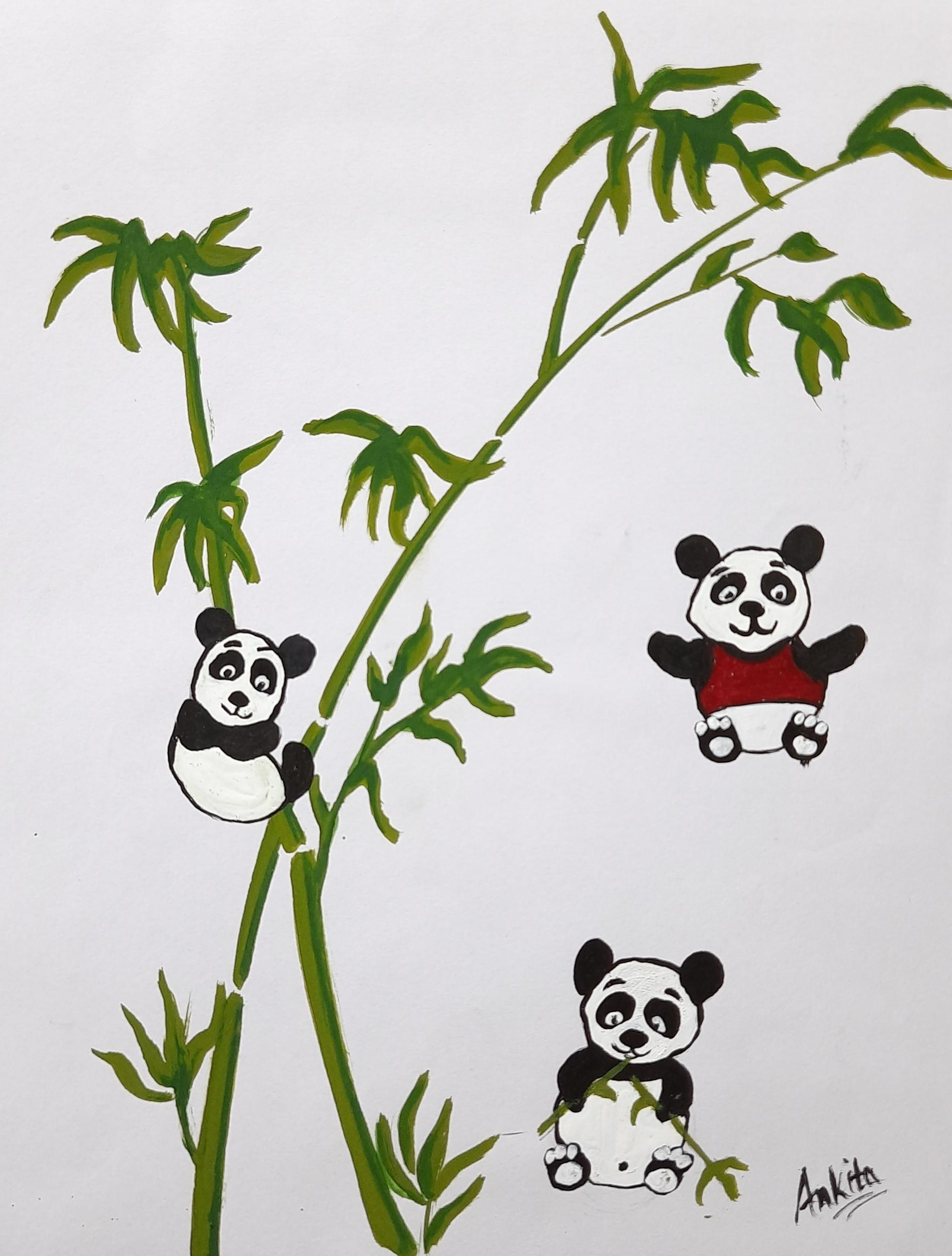 pandas